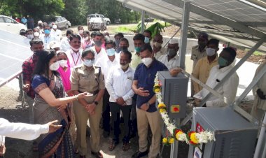 चिंचणी गाव झाडामुळे बनले आॅक्सीजन पार्क - मुख्य कार्यकारी अधिकारी दिलीप स्वामी 