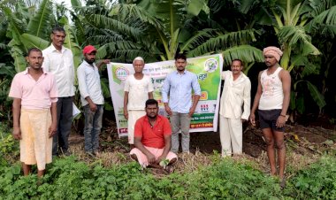 *बोर्डो मिश्रण एक उत्तम बुरशीनाशक-कृषिदूत रोहित कदम* 
