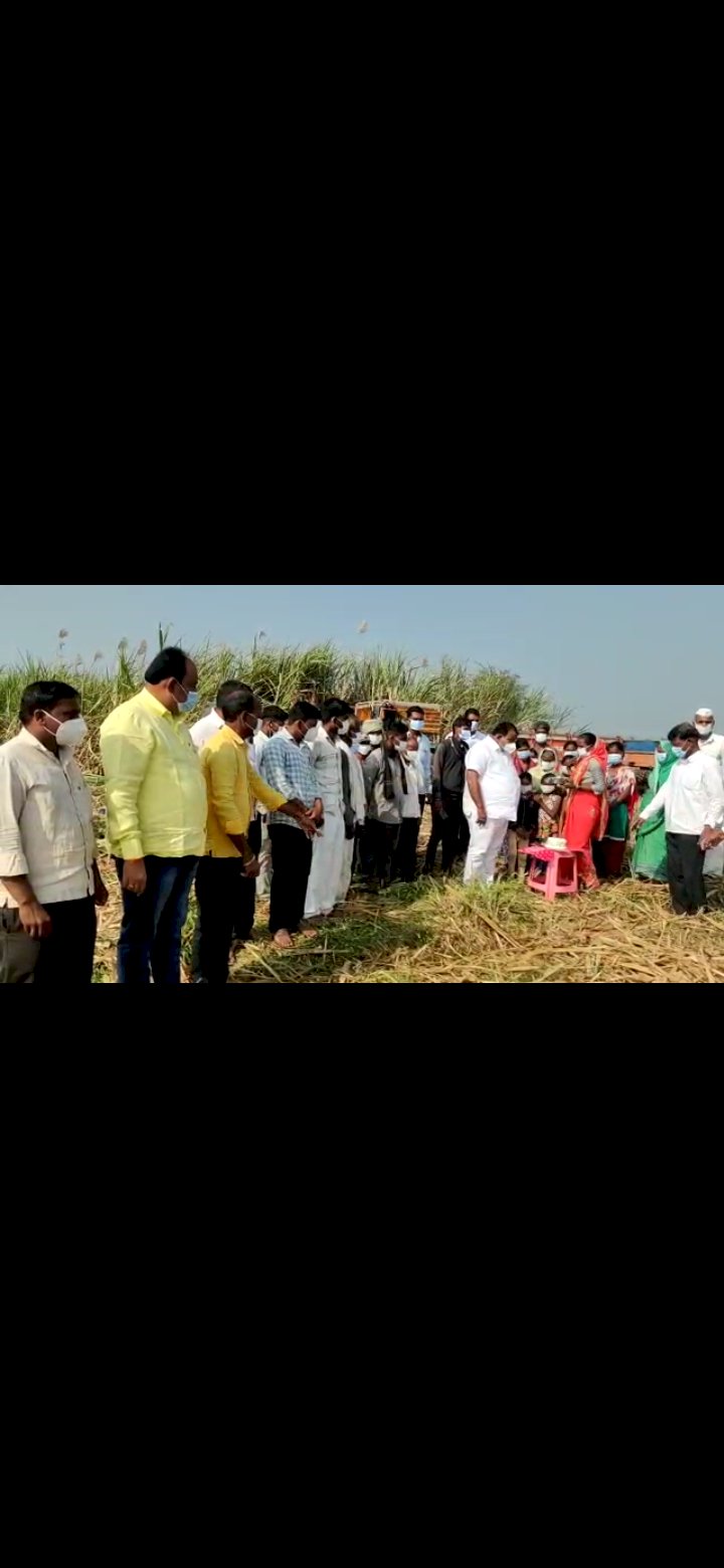 *राष्ट्रवादी काँग्रेस पार्टीचे  उद्योग व व्यापार विभाग प्रदेशाध्यक्ष नागेश फाटे   यांचा वाढदिवस साजरा केला चक्क  ऊस तोडणी कामगारांच्या कुटुंबासमवेत ऊसाच्या  फडातच* .बोहाळी येथे लहान मुलांना  मास्क व खाऊवाटप करण्यात आला