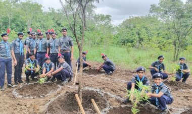 *सोलापूर येथे वनशहीद दिन व महावृक्षारोपण कार्यक्रम संपन्न.*                   *करकंबच्या स्काऊट विद्यार्थ्यांचे झाले विशेष कौतुक*          