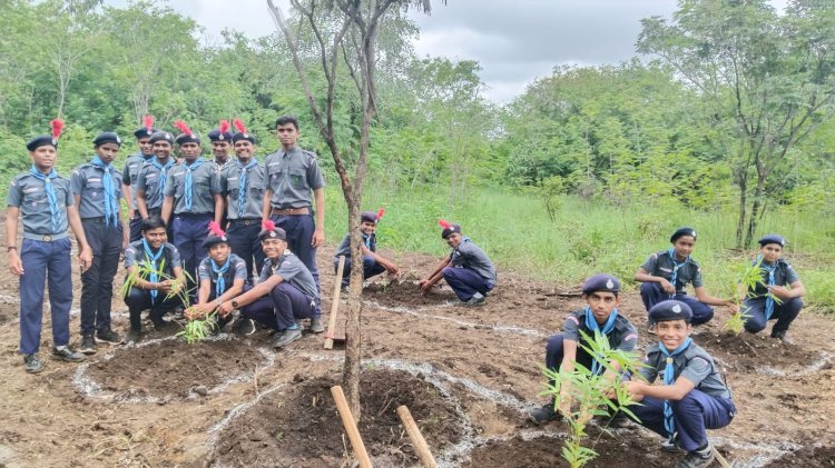 *सोलापूर येथे वनशहीद दिन व महावृक्षारोपण कार्यक्रम संपन्न.*                   *करकंबच्या स्काऊट विद्यार्थ्यांचे झाले विशेष कौतुक*          