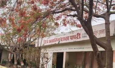 *पापरी जिल्हा परिषद प्राथमिक शाळेचे NMMS व सारथी शिष्यवृत्ती परीक्षेत घवघवीत यश....!*