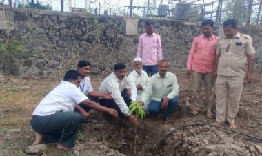 *वीज महावितरण कार्यालय चळे  येथे  २५१झाडाचे वृक्षारोपण*