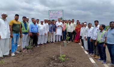 *पंढरपूरमध्ये श्री संत ज्ञानेश्वर पालखी मार्गावर वृक्षारोपण*  *भाजपा नेते प्रशांत परिचारक यांची उपस्थिती*